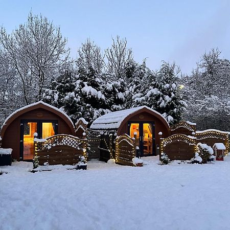 Conifer Cabins Форт-Вільям Екстер'єр фото