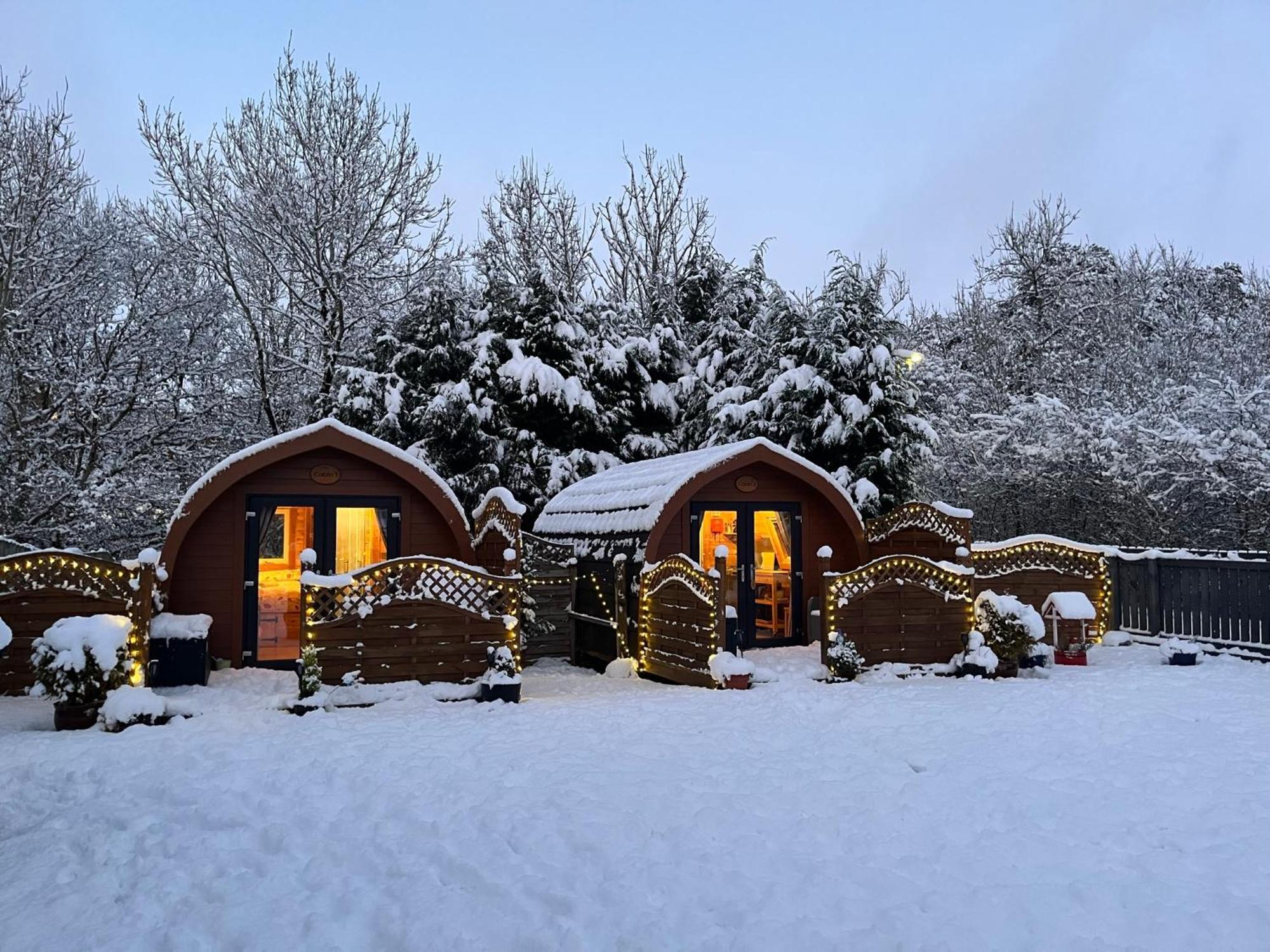 Conifer Cabins Форт-Вільям Екстер'єр фото