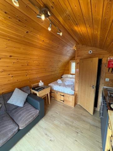Conifer Cabins Форт-Вільям Екстер'єр фото