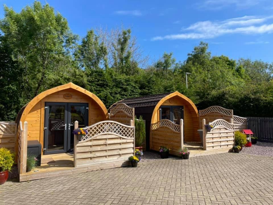 Conifer Cabins Форт-Вільям Екстер'єр фото